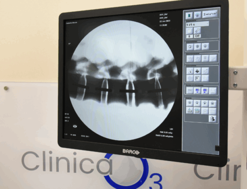 Dolore dorsale e ozonoterapia RX guidata: un valido aiuto